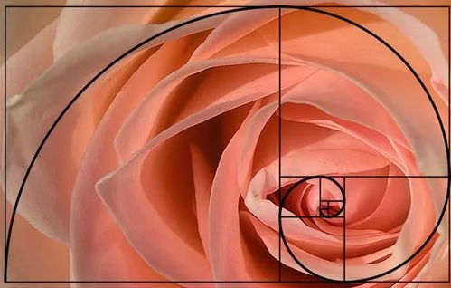 how to make bouquet of flowers with money,How to Make a Bouquet of Flowers with Money